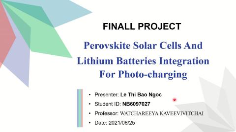 Perovskite Solar Cells and Lithium Batteries Integration for Photo-Charging