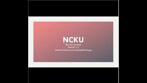 Polymer Electrolyte Fuel Cell