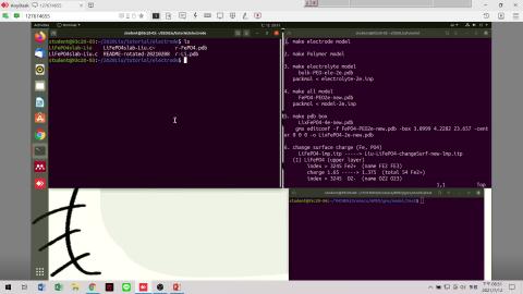 06-LAMMPS_make polymer and electrode.mp4