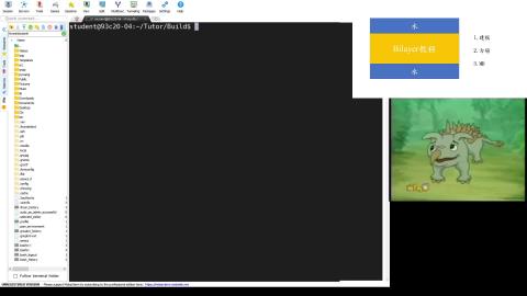 PART1-Build BIlayer via Packmol.mp4