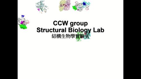 吳權娟老師實驗室簡介