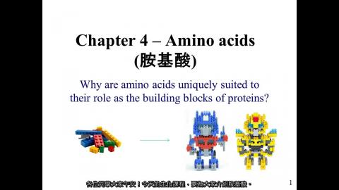 生化: Ch 04 - 中文字幕版 250904