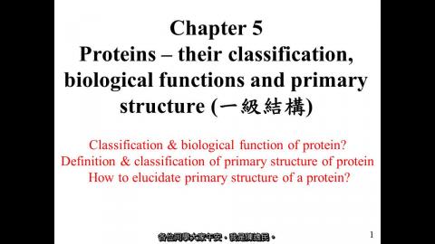 生化: Ch 05 - 中文字幕版 250915