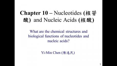 生化: Ch 10 - 中文字幕版 250925