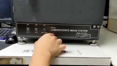 6.成大生理所公用儀器_顯微鏡室冷光影像儀使用教學