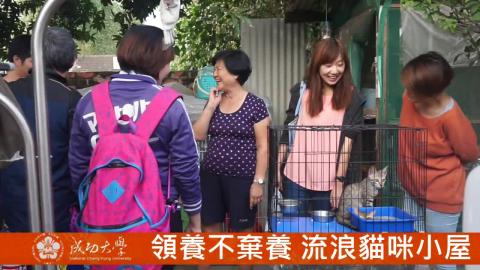 【影音】領養不棄養  流浪貓咪小屋（by外文系108級黃詠萱）