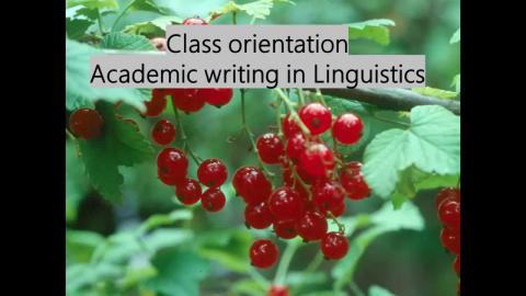 Academic writing in Linguistics_class orientation