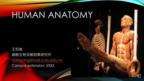Anatomy 2021 introduction.mp4
