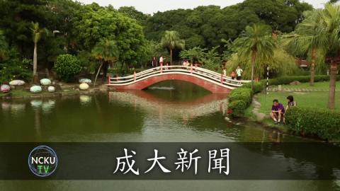 【影音】領養不棄養 流浪貓咪小屋(by外文108黃詠萱)