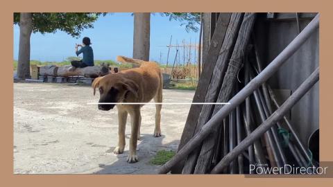 七股魚塭智慧水質監控系統_成果影片
