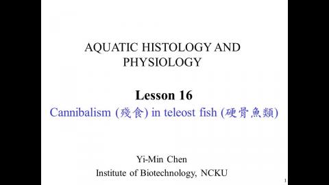 水生生理: Fish cannibalism 1 - 中文版