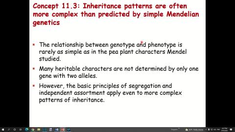 Chapter 11 extra.mp4