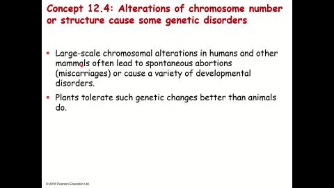 Chapter 12 extra.mp4