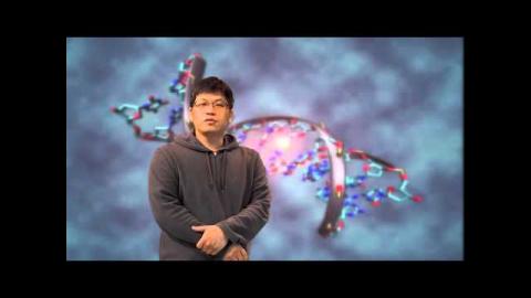 MOOCS 成大磨課師 -  染色體學 張松彬