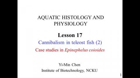 水生生理: Fish cannibalism 2 - 中文版