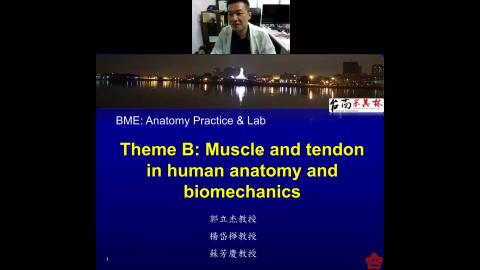 Anatomical structures of the hand, wrist and forearm 2021-09-22-13-16-01.mp4