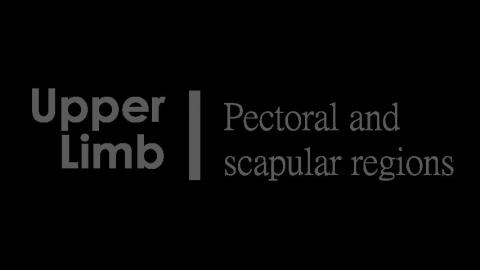 930 第一組 Pectoral After.MP4