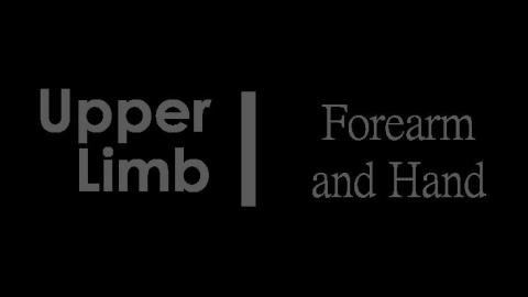 1007 第一組 Forearm and Hand vessels After.MP4