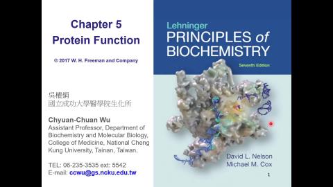Lecture 13: Lehninger CH05