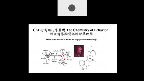 生理心理學 10.19 CH4 胡書榕老師