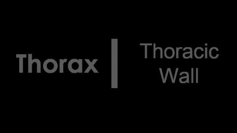 1014 第二組 Thoracic wall After.MTS