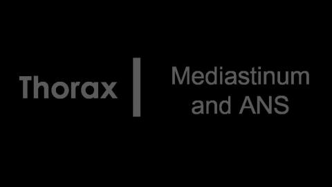 1019 第一組 Mediastinum & ANS #1 After.mp4