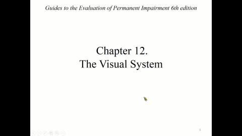 AMA CH12 The Visual System