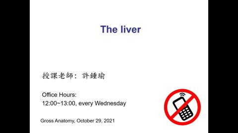 大體解剖學 Liver 2021.10.29 課程補遺