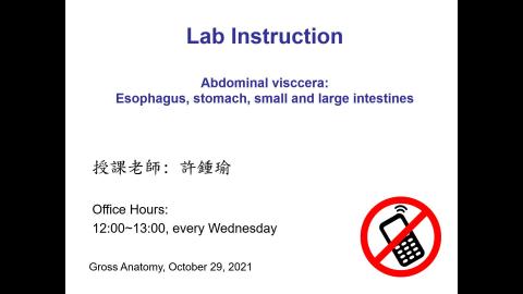 10/29 大體解剖學實驗說明: Abdominal viscera