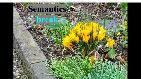 The semantics of emotion-3.mp4