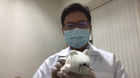 【生心實驗】安撫實驗動物與腹腔注射