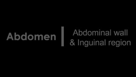 1026 第六組 Abdominal wall & Inguinal region After.MP4