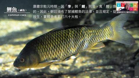 20211019 Nu 04 寄生蟲學.mp4