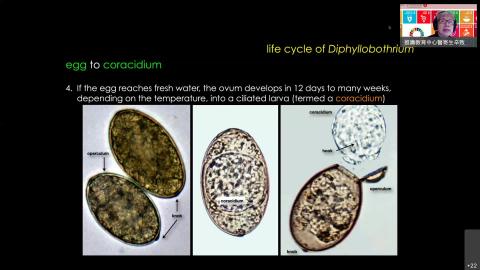 20211026 Nu 05 寄生蟲學.mp4