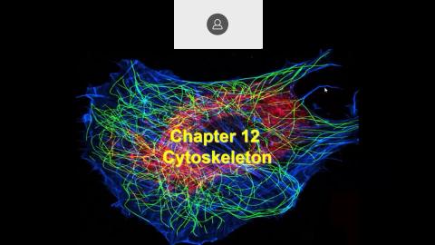 2021 11 17-Cytoskeleton 2021-11-17-09-16-54.mp4