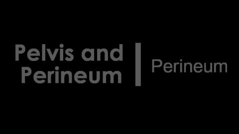 1115 第三組 Perineum After.MTS