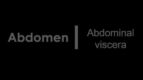 1102 第二組 Abdominal viscera After #2.MP4