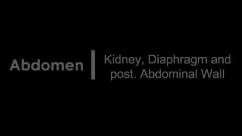 1108 第一組 post Abdominal wall & Diaphragm After.MP4