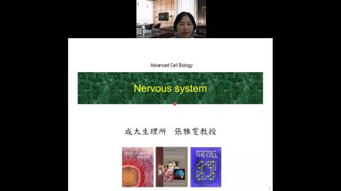 1101高等細胞生物學_張雅雯教授授課_ Nervous system