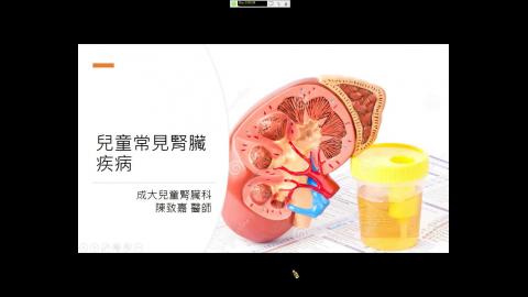 陳致嘉醫師-兒童常見腎臟疾病.mp4