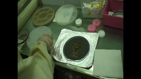 半導體微影實作二：電漿蝕刻製程