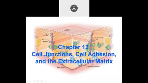 2021 11 24-Cell Junctions, Cell Adhesion, and the Extracellular Matrix 2021-11-24-09-21-01.mp4