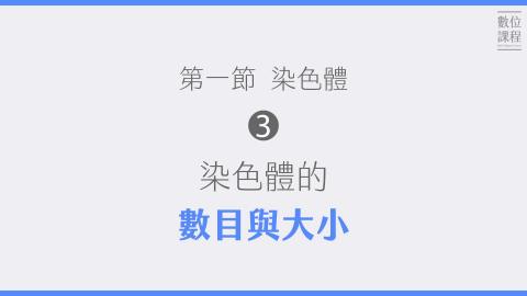 第一節染色體-03染色體的數目與大小.mp4