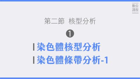 第二節核型分析-01染色體核型分析、染色體條帶分析-1.mp4