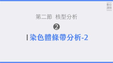 第二節核型分析-02染色體條帶分析-2.mp4