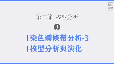 第二節核型分析-03染色體條帶分析-3、核型分析與演化.mp4