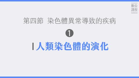 第四節染色體異常導致的疾病-01人類染色體的演化.mp4