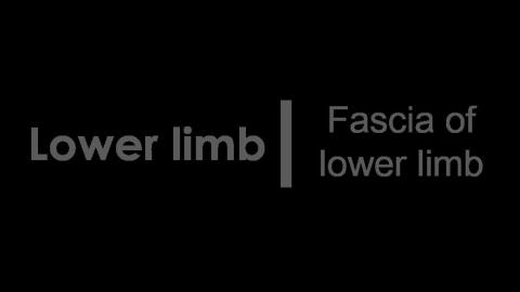 1123 第一組 Superficial Lower limb After.MP4