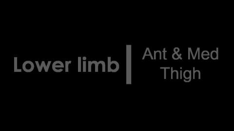 1125 第三組 Ant & Med Thigh After #2.MTS