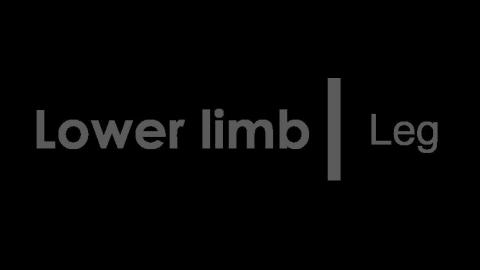 1129 第六組 Leg After.MP4